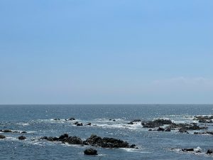 天然海水入荷日